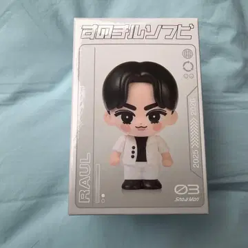 라울 소프트 비닐