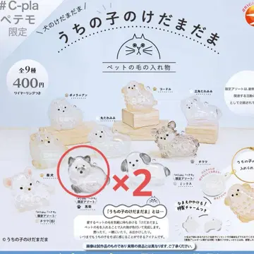 우리 아이의 털뭉치 강아지 털뭉치 블랙 시바