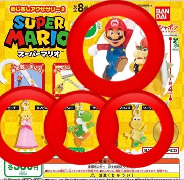 마리오 메지루시 액세서리