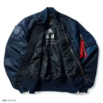 기동전사 건담 역습의 샤아 E.F.S.F. 아무로 레이 모델