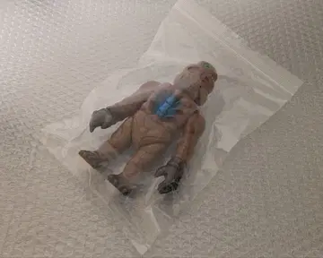 고코도 goccodo 마니운코츠 REALHEAD 리얼헤드