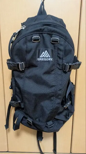 GREGORY 올데이 백팩