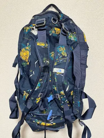 [ 대폭 할인 중 ] 새상품급 THE NORTH FACE 50L 더플백