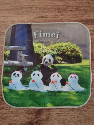 어드벤처 월드 미니 타월 영명