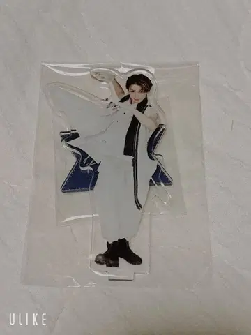 아크릴 스탠드 캐릭터 포즈