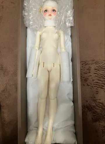 슈퍼돌피 SD13 리즈 보크스 조형촌 volks