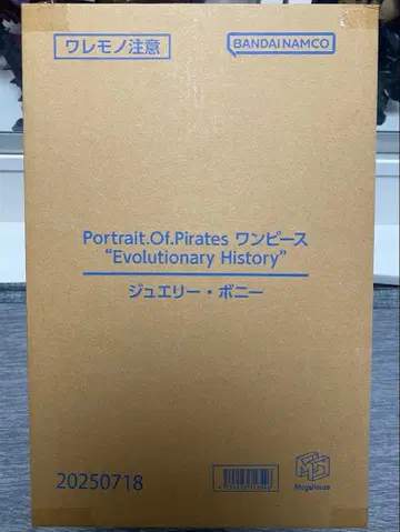 POP 원피스 'Evolutionary History' 주얼리 보니