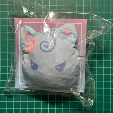 aespa 카리나 일본 팬미팅 에코백