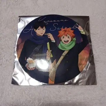 하이큐 요코하마 코스모 월드 히나타 쇼요 카게야마 토비오