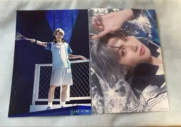 테니뮤 전빙 아토베 아토베 케이고 란브로 스테브로