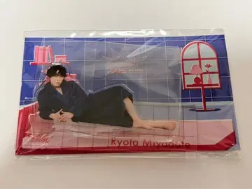 미야타테 료타 SnowMan RAYS 아크릴 스탠드 파자마