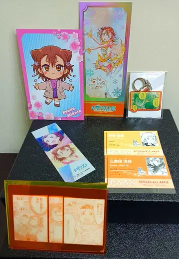 메달리스트전 미케다 료카 세트2