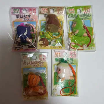 교토 채소 시리즈 코스튬 큐피 5개 세트