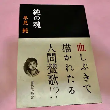 [레어 초판본] 순의 혼 하야미 준