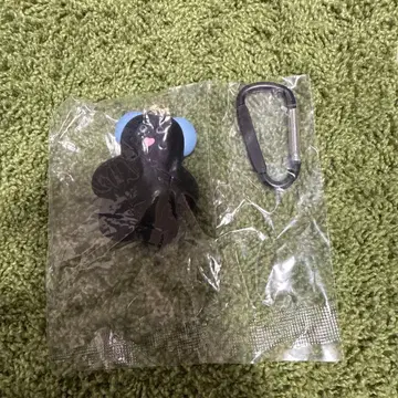 mojojojo 5주년 한정 컬러