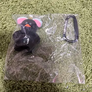 mojojojo 5주년 한정 컬러