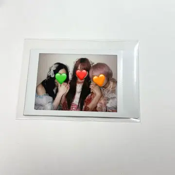 코토리유 아미 오하라 오토하 키쿄카코 AVAM 란폴라로이드