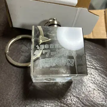 와이텔즈 타워 작전 큐브