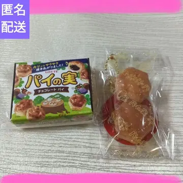 파이노미니 미니어처 키링