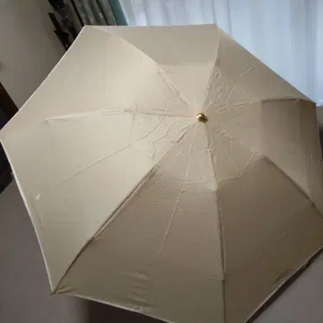 랄프 로렌 접이식 우산