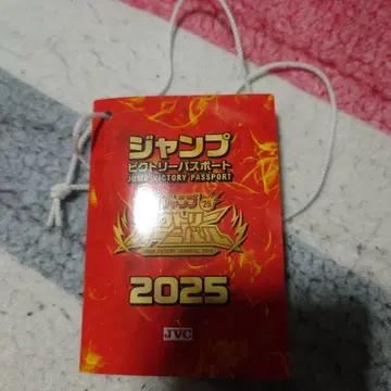 점프 빅토리 카니발 2025 여권