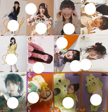 초 도키메키 선전부 도키센 브로마이드 친필 스다 아키 사인 포함