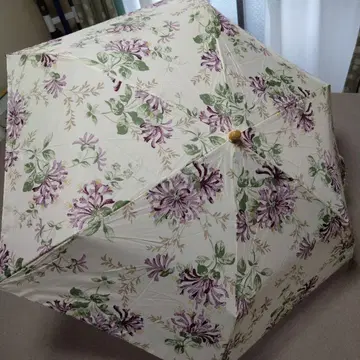 로라 애슐리 접이식 우산