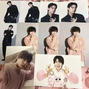 팬더드래곤 나기 엽서 파라곤