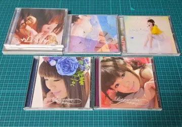 ave;new 사쿠라 사오리 앨범 5장 세트