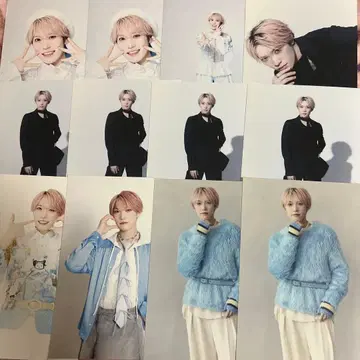 팬더드래곤 타이거 엽서 파라곤