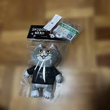 아피타 돈키 한정판 일하는 고양이 현장 고양이 마스코트 키링 세트