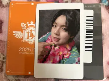 팬더 드래곤 나기 하피카 파라곤