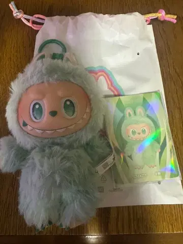 Biginto 에너지 러브 그린