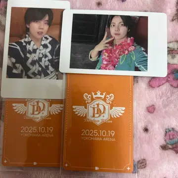 팬더드래곤 나기 하피카 파라곤