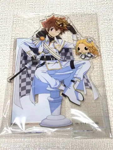 가정교사 히트맨 REBORN! 사와다 츠나요시 BIG 아크릴 스탠드