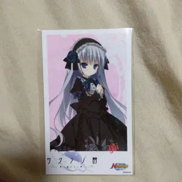 사쿠라노 시 폴라로이드 콜라보 카페 후