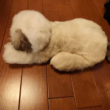 강아지 봉제 인형 화이트와 브라운