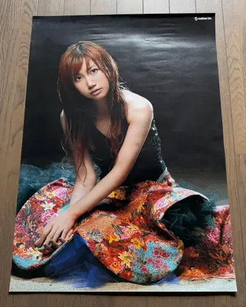 오쓰카 아이 포스터