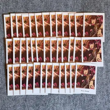 앙스타 파샤츠 vol.6 action 이치카 2