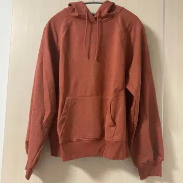 Jordan Sport 후드 부착 브라운 후드티