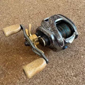 [ 컨디션 최상 ] 지리온 SVTW 1000HL 커스텀 다수