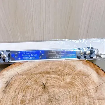 트위스테 브레이징 주얼 회장 참 DAY1