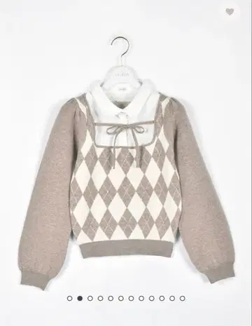 evelyn 옷깃 비쥬 니트