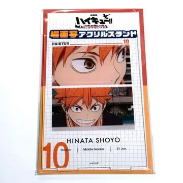 하이큐 타워 레코드 카페 장면 사진 아크릴 스탠드 히나타 쇼요