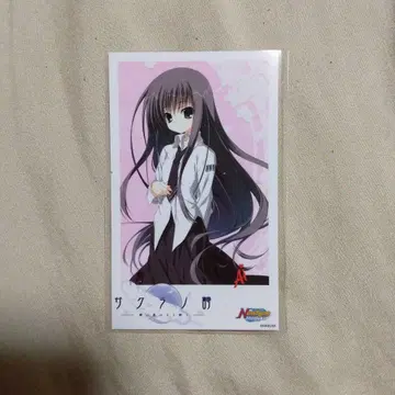 사쿠라노 시 콜라보 카페 폴라로이드 아이