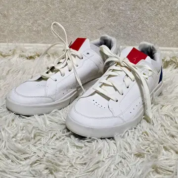 on 스니커즈 THE ROGER 48.98495 24.5cm