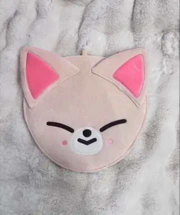 Stray Kids 아이엔 부채 커버