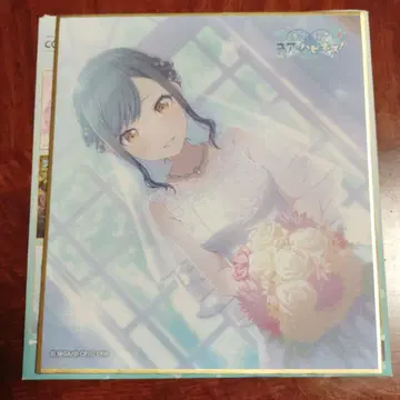 시라이시 안 색지 23A 준 브라