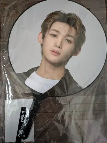 &TEAM JO 파우프리 부채