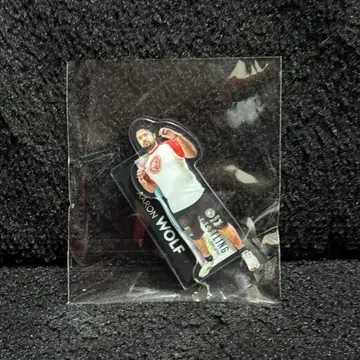 울프 아론 신니치 프리미엄 복권